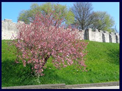 City Wall, Queen St 02